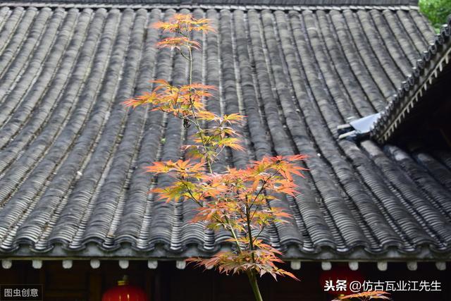 導讀：農村蓋房用樹脂瓦適合嗎？聽完行家的分析，恍然大悟