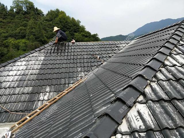 30元一平的樹脂瓦省錢又耐用？網友：吃飽沒事干，用一年就得換