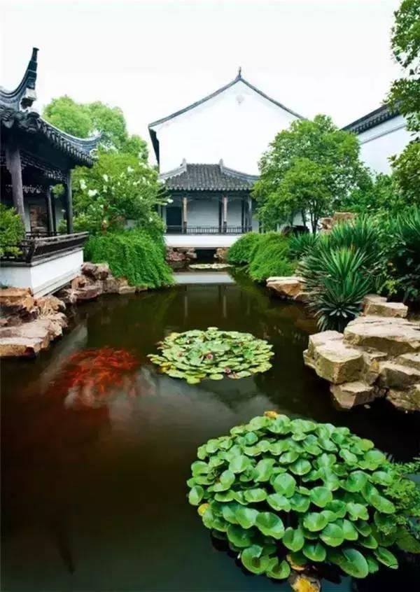 小院回廊，一步一景！
